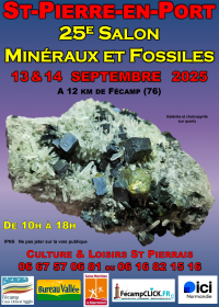 XXIV Beca Minerales y Fósiles