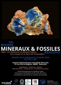 Intercambio de minerales y fósiles de Beauvais (18.ª edición)