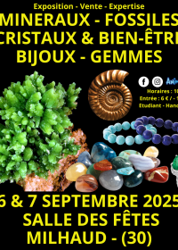 Feria de Minerales, Fósiles, Cristales y Bienestar: Joyas y Gemas en Nimes