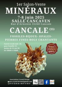1ª edición de la feria de venta de minerales, fósiles y joyas