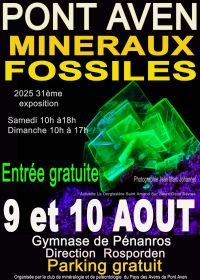 Exposición, venta e intercambio de minerales y fósiles.
