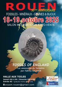30ª edición del Salón Internacional de Fósiles, Minerales y Prehistoria de Rouen