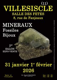 1er Salón de Minerales, Fósiles y Joyas