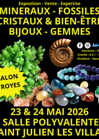 2ª Feria de Minerales y Fósiles de Troyes