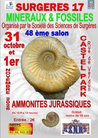 48ª Exposición Internacional de Minerales y Fósiles