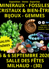 Exposición de minerales, fósiles y cristales
