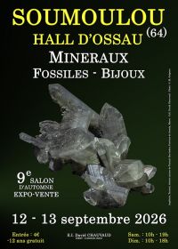 9ª Feria de Minerales, Fósiles y Joyería