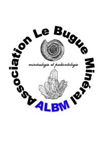 Intercambio de minerales y fósiles.