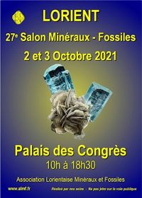 Exposición y Venta Mineralógica y Paleontológica