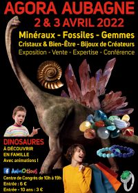 Salón Fossil Minerales Gemas Cristales & Bienestar