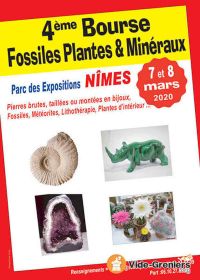 4to intercambio de fósiles, plantas y minerales