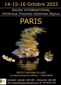 Exposición Internacional de Minerales, Fósiles, Gemas y Joyería