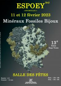 XIII Feria de Minerales Fósiles y Joyería