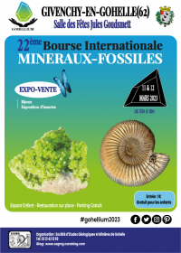 22° Intercambio Internacional de Minerales Fósiles de Gohelio 2023