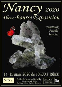 46ª exposición bursátil de minerales e insectos fósiles.