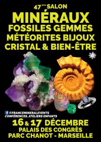47° Salón de Minerales, Fósiles, Gemas y Joyería de Marsella