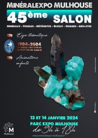 45ª exposición Minéralexpo-Mulhouse