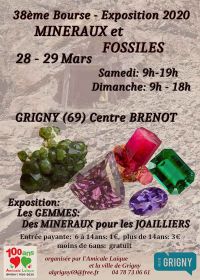 38ª exposición de minerales y fósiles.