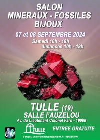 Minerales, fósiles, exposición de joyas de diseño.