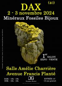 1ª EXPOSICIÓN DE MINERALES FÓSILES DE JOYERÍA DAX
