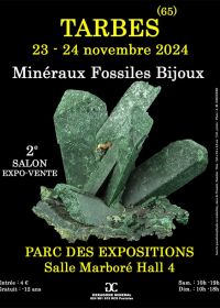 2da Muestra de Minerales Fósiles y Joyería