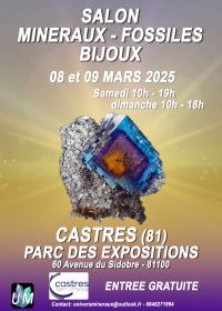 Exposición de minerales, fósiles y joyas de diseño.