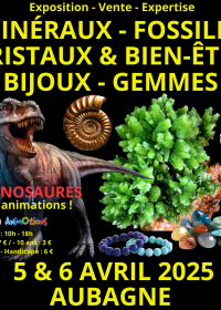IV Salón de Minerales, Fósiles, Cristales, Bienestar, Joyas y Gemas