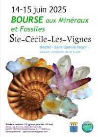 Intercambio de minerales y fósiles