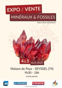 13ª edición venta de minerales y fósiles