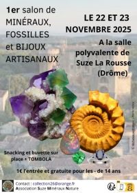 Intercambio de minerales, fósiles y joyas artesanales