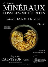 IV Feria de Minerales, Fósiles y Meteoritos