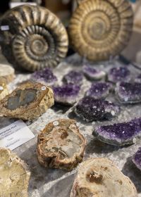 Piedras y minerales hermosos 2025