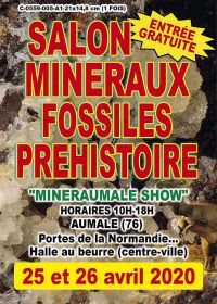 Quinta beca Exposición de minerales y fósiles prehistóricos
