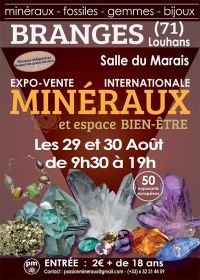 Primera exposición exposición venta de minerales de Branges