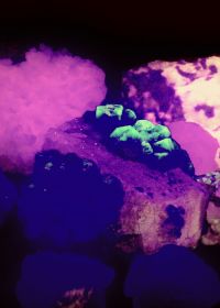 Minerales fluorescentes: cuando las piedras brillan en la oscuridad Different fluorescent minerals Minerales fluorescentes: cuando las piedras brillan en la oscuridad Different fluorescent minerals