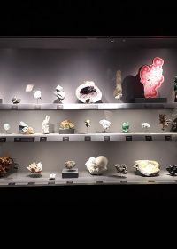 Galería de Geología y Mineralogía del Jardín de las Plantas de París Museum national histoire naturelle Galería de Geología y Mineralogía del Jardín de las Plantas de París Museum national histoire naturelle