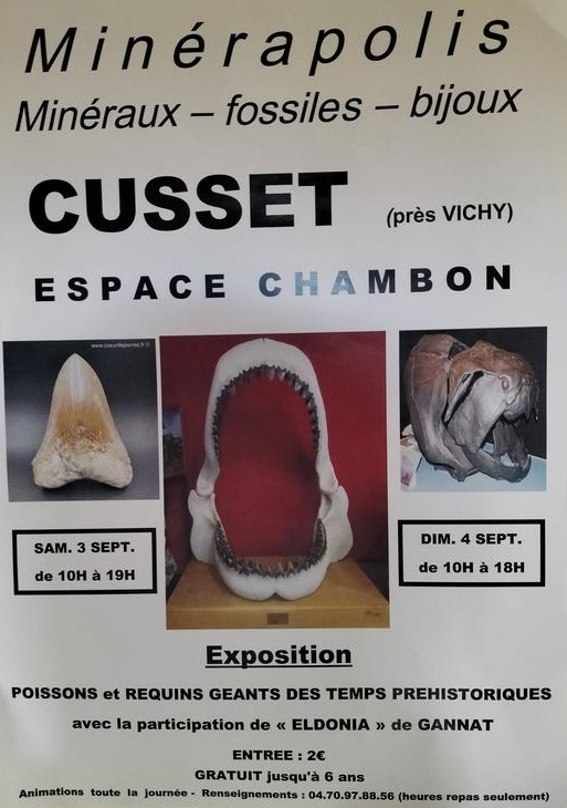 Exposición MINERAPOLIS de fósiles, minerales y joyería