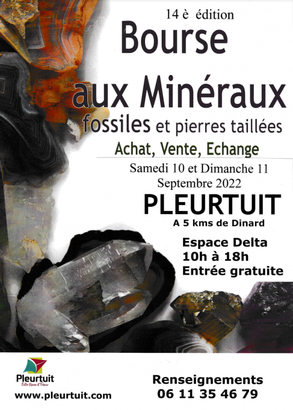 14 ° Beca de Minerales y Fósiles