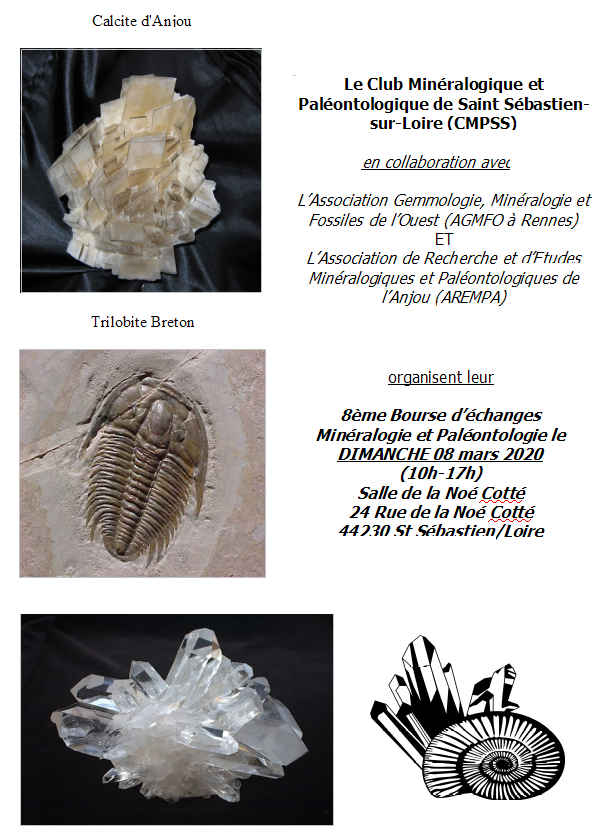 8º intercambio de minerales y fósiles