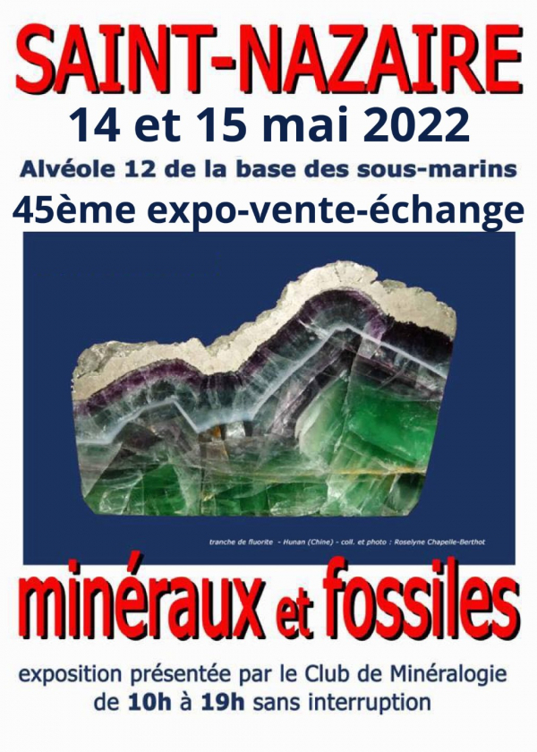 45° Exposición-venta-intercambio de minerales y fósiles