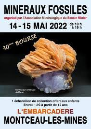 30ª Beca Internacional de Minerales y Fósiles