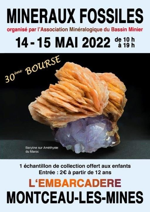 30ª Beca Internacional de Minerales y Fósiles