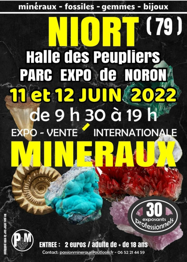 Expo-venta de minerales, fósiles, gemas, joyería