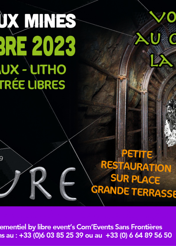 7ª Venta Europea de Minerales y Lito