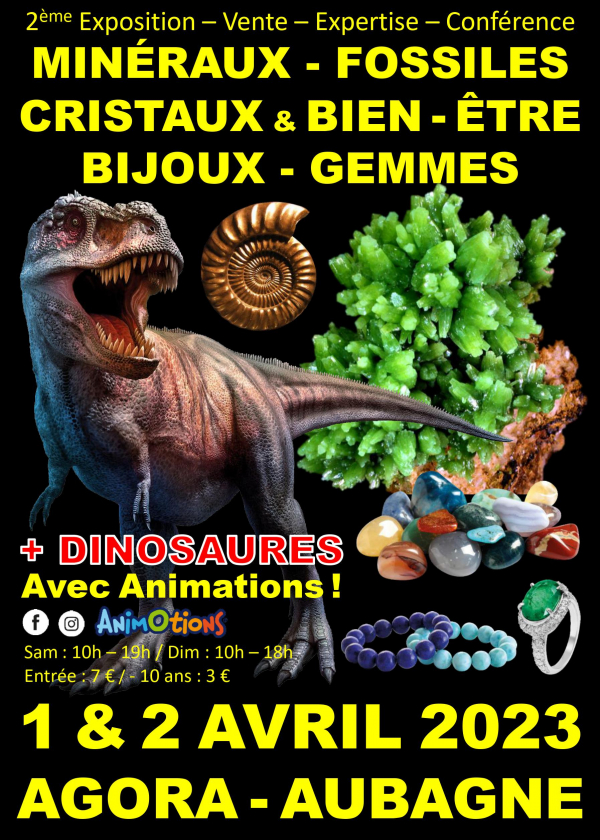 2ª Feria de Cristales de Minerales Fósiles