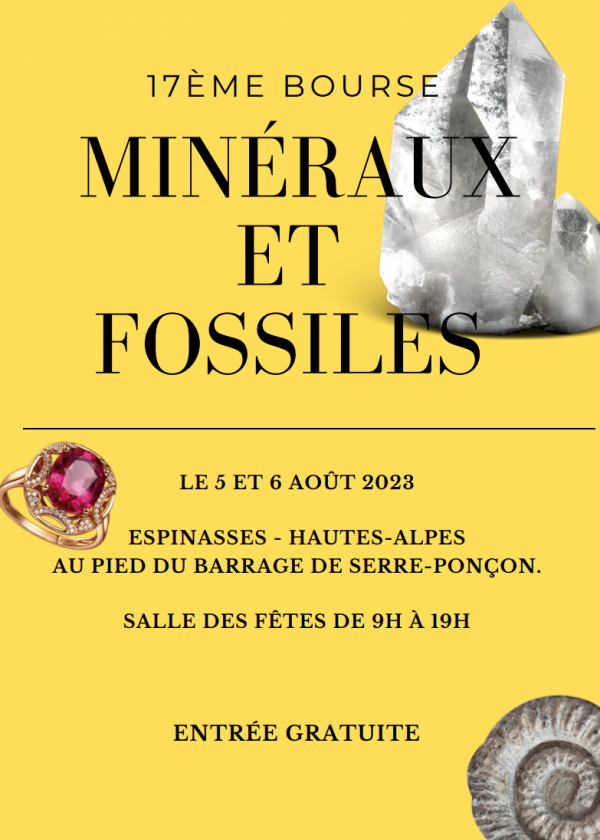 Feria de Minerales y Fósiles