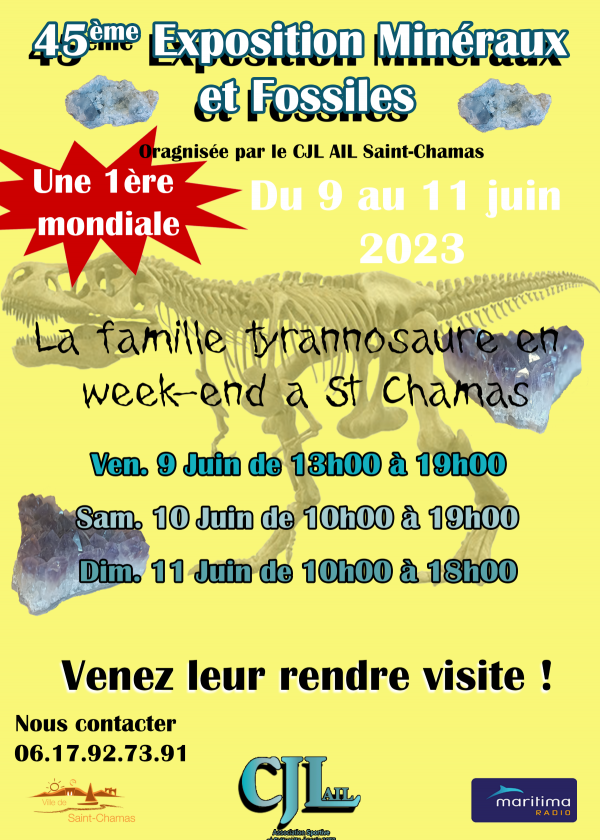 45° Feria de Minerales y Fósiles