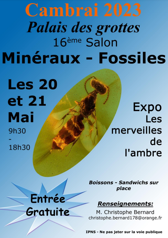 XVII Feria AGC de Minerales y Fósiles. Entrada gratuita de 9:30 a 18:30 horas.