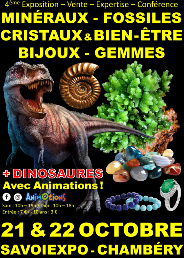 IV Feria de Cristales y Bienestar de Fossil Minerals