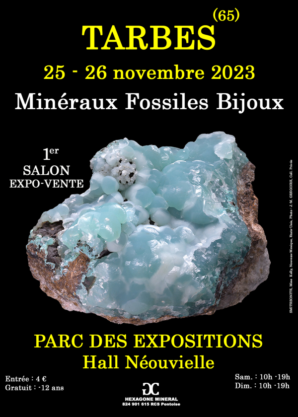 I MUESTRA DE JOYERÍA DE MINERALES FÓSILES
